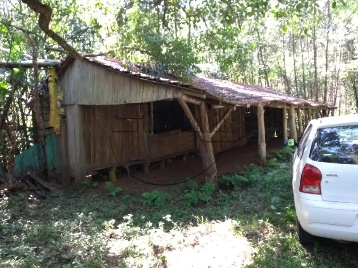 LOTE 001 - Uma área de terras em Paverama/RS