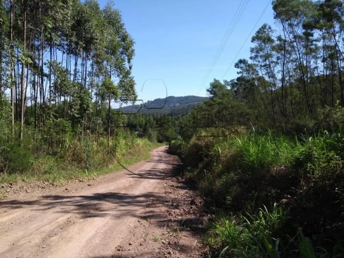 LOTE 001