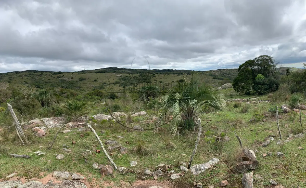 LOTE 001 - Uma área de terras c/ 208ha em São Jerônimo/RS - Distrito de Morrinhos