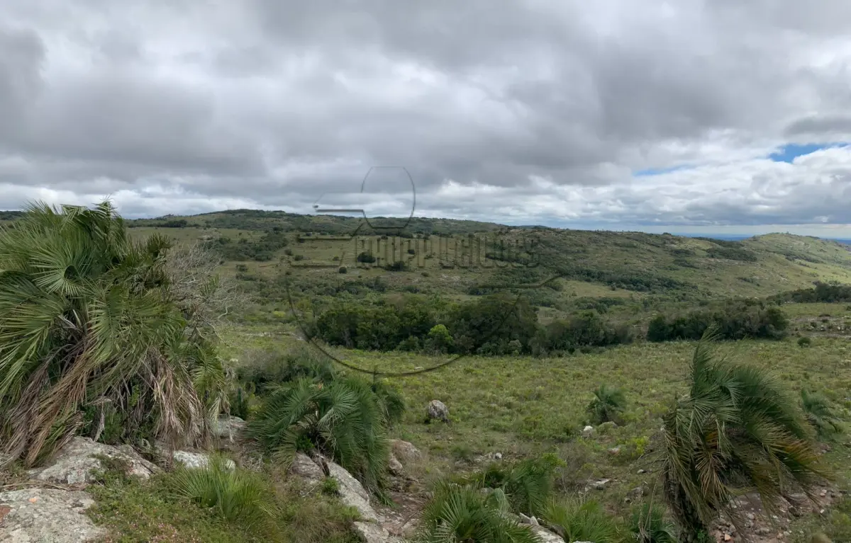 LOTE 001 - Uma área de terras c/ 208ha em São Jerônimo/RS - Distrito de Morrinhos