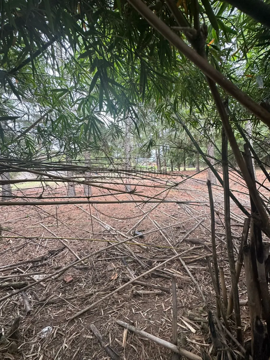 LOTE 002 - (GRAVATAÍ/RS) Um terreno de esquina, c/ área superficial de 4.830m² - Bairro Parque dos Anjos