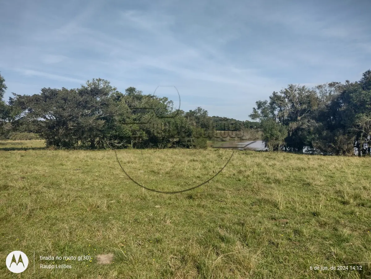 LOTE 001 - 02ª DATA | (GLORINHA/RS) Um terreno c/ a área de 246.896,00m², dentro de um todo maior c/ 493.794,00m², situado no distrito de Glorinha.