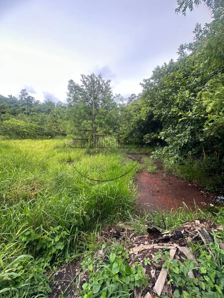 LOTE 001 - 02ª DATA | (PORTÃO/RS) Um terreno de 1.050,00m², na RS 240, em Portão/RS