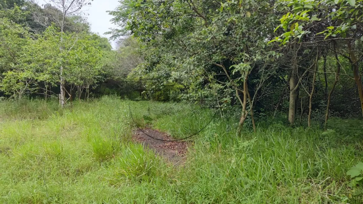 LOTE 001 - 02ª DATA | (PORTÃO/RS) Um terreno de 1.050,00m², na RS 240, em Portão/RS
