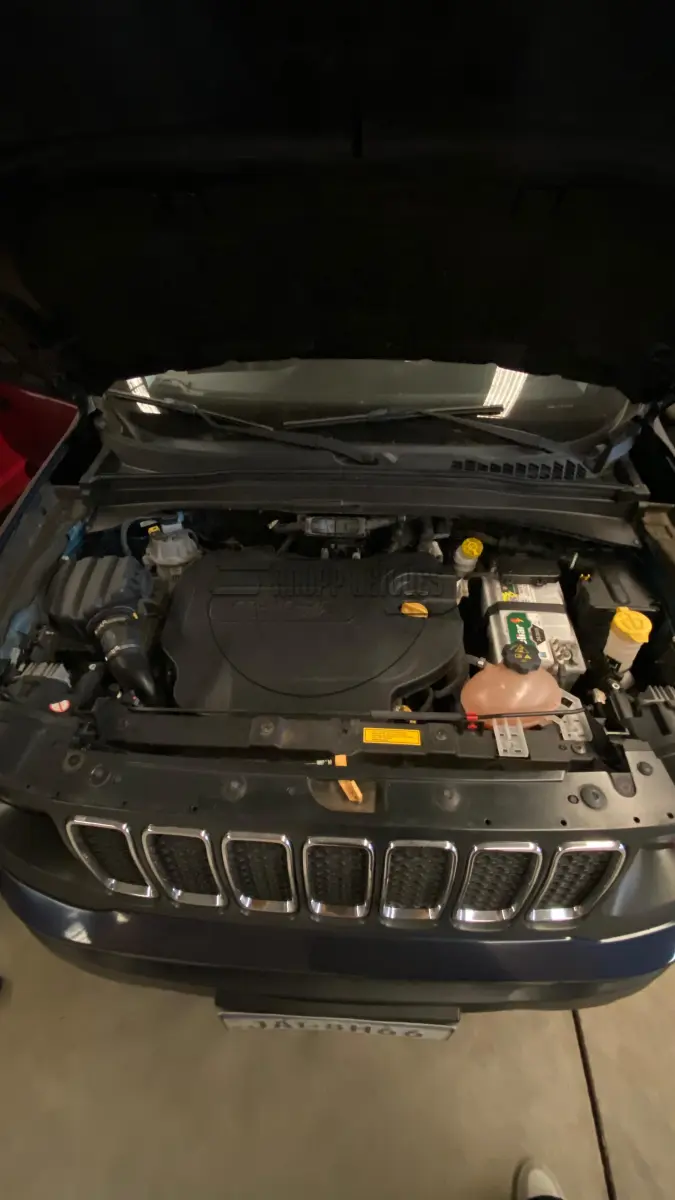LOTE 014 - Um veículo JEEP/RENEGADE LNGTD AT D, ano/modelo 2020/2021