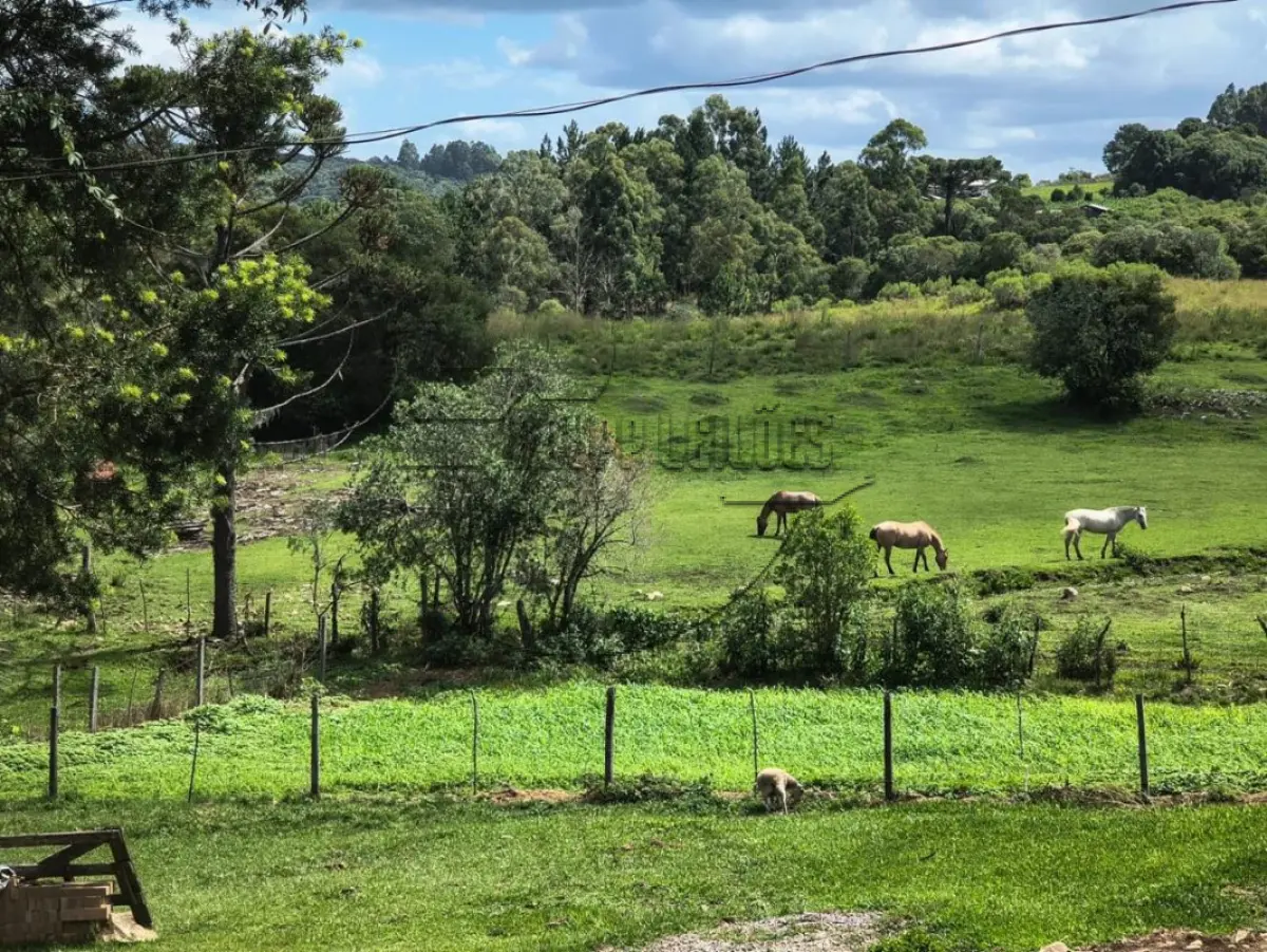 LOTE 001 - 02ª DATA | (CAXIAS DO SUL/RS) Uma área de terras c/ 27,62 hectares, próxima às margens da Rodovia RS453