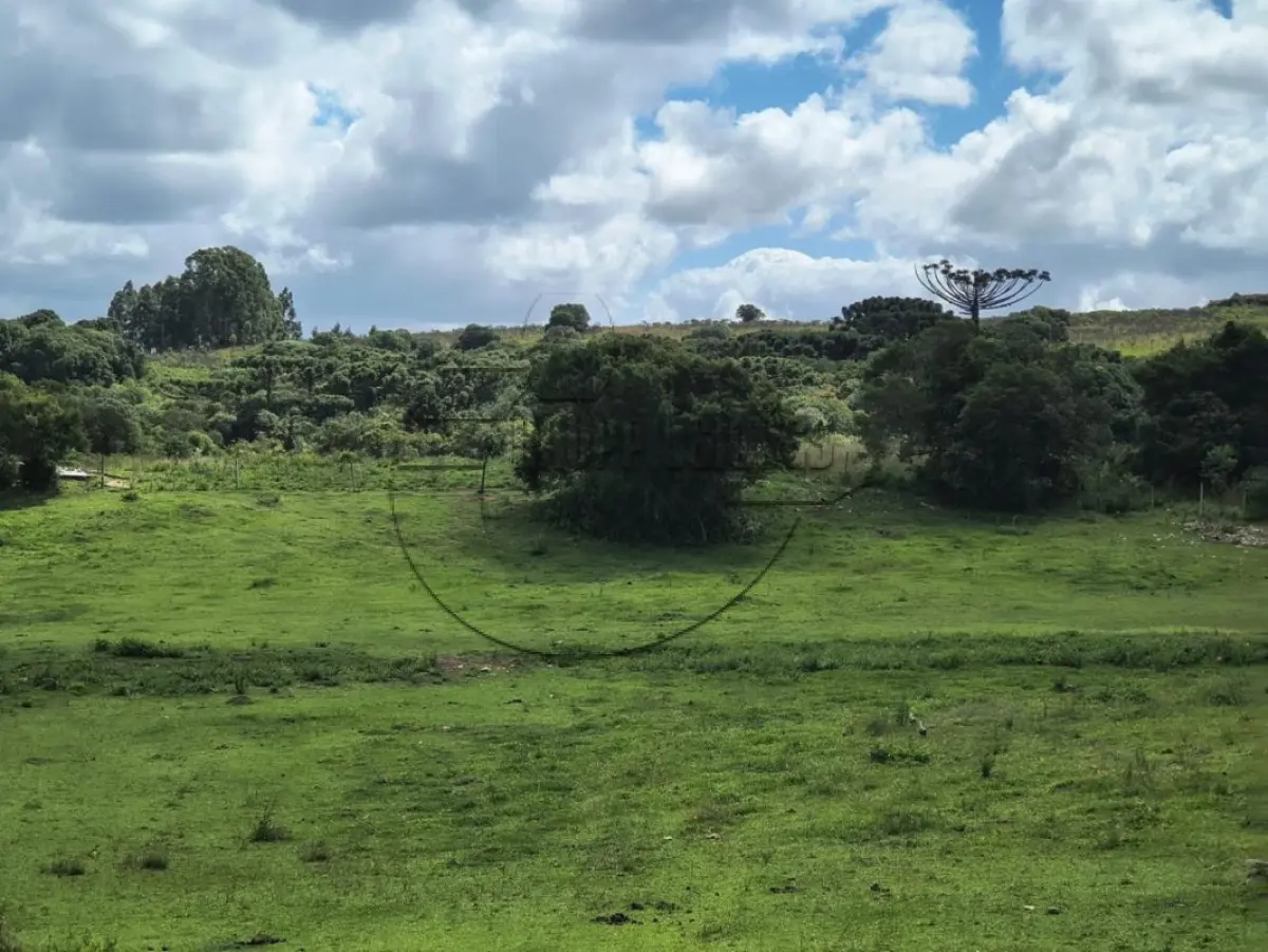 LOTE 001 - 02ª DATA | (CAXIAS DO SUL/RS) Uma área de terras c/ 27,62 hectares, próxima às margens da Rodovia RS453