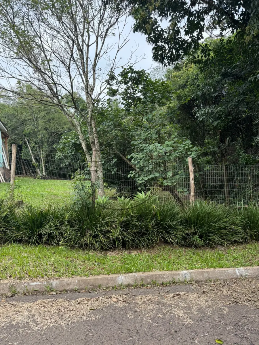 LOTE 002