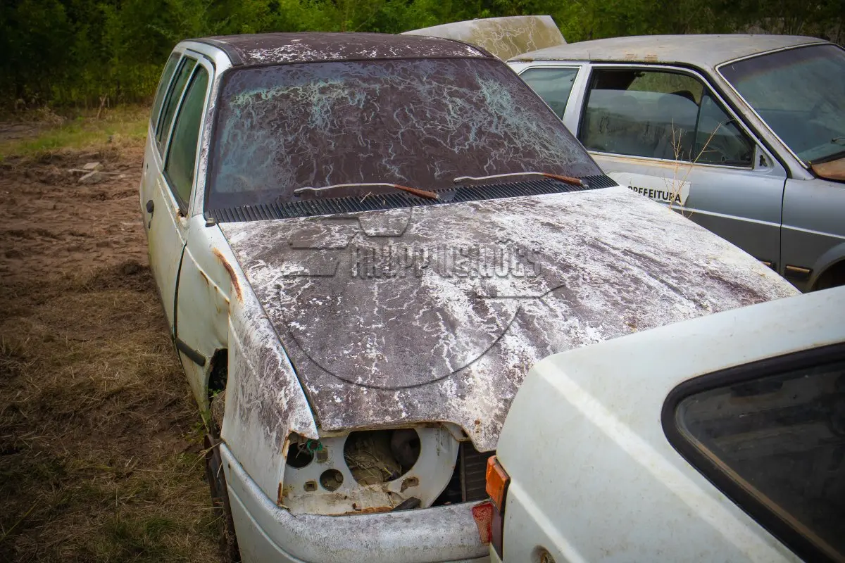 LOTE 010 - Veículo GM IPANEMA GL, ano/mod 1996/1996