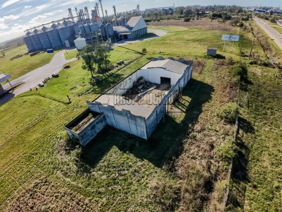 LOTE 001 - (CAPÃO DO LEÃO/RS) Área de terras de 9.000,00m², c/ benfeitorias, na BR-293
