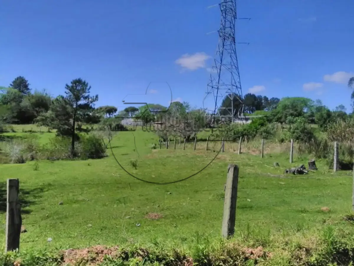 LOTE 009