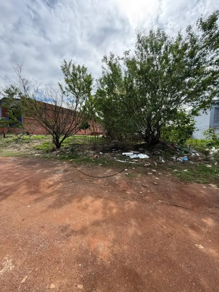 LOTE 010