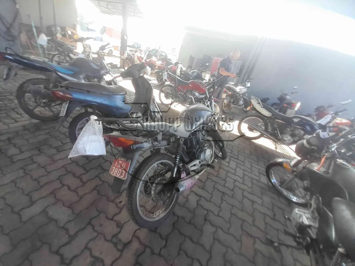 LOTE 0019