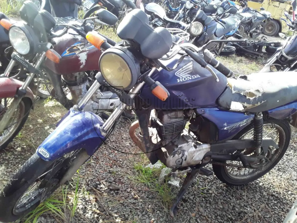 LOTE 0175