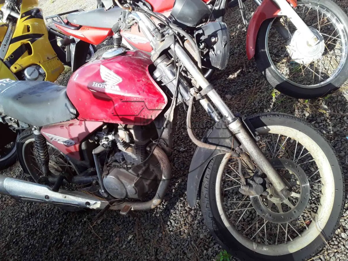 LOTE 0173