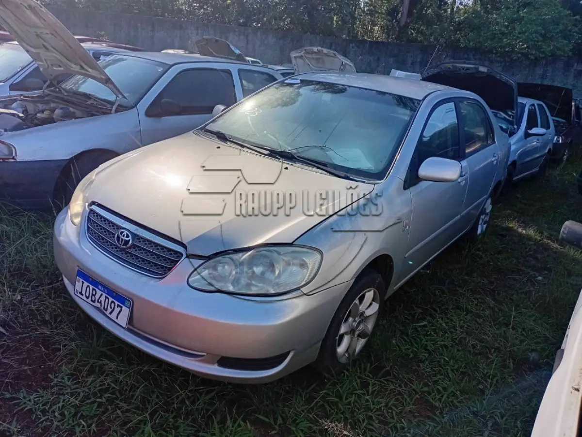 LOTE 0195