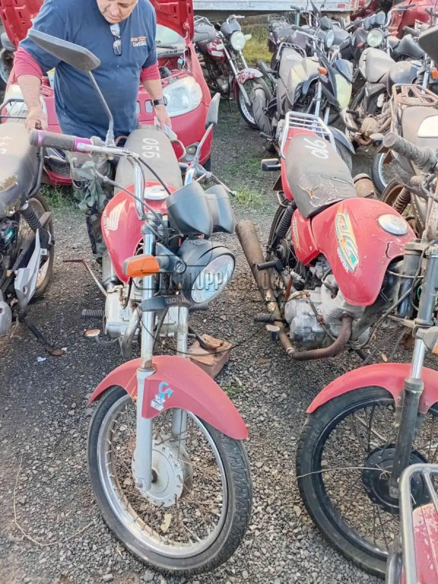 LOTE 0111