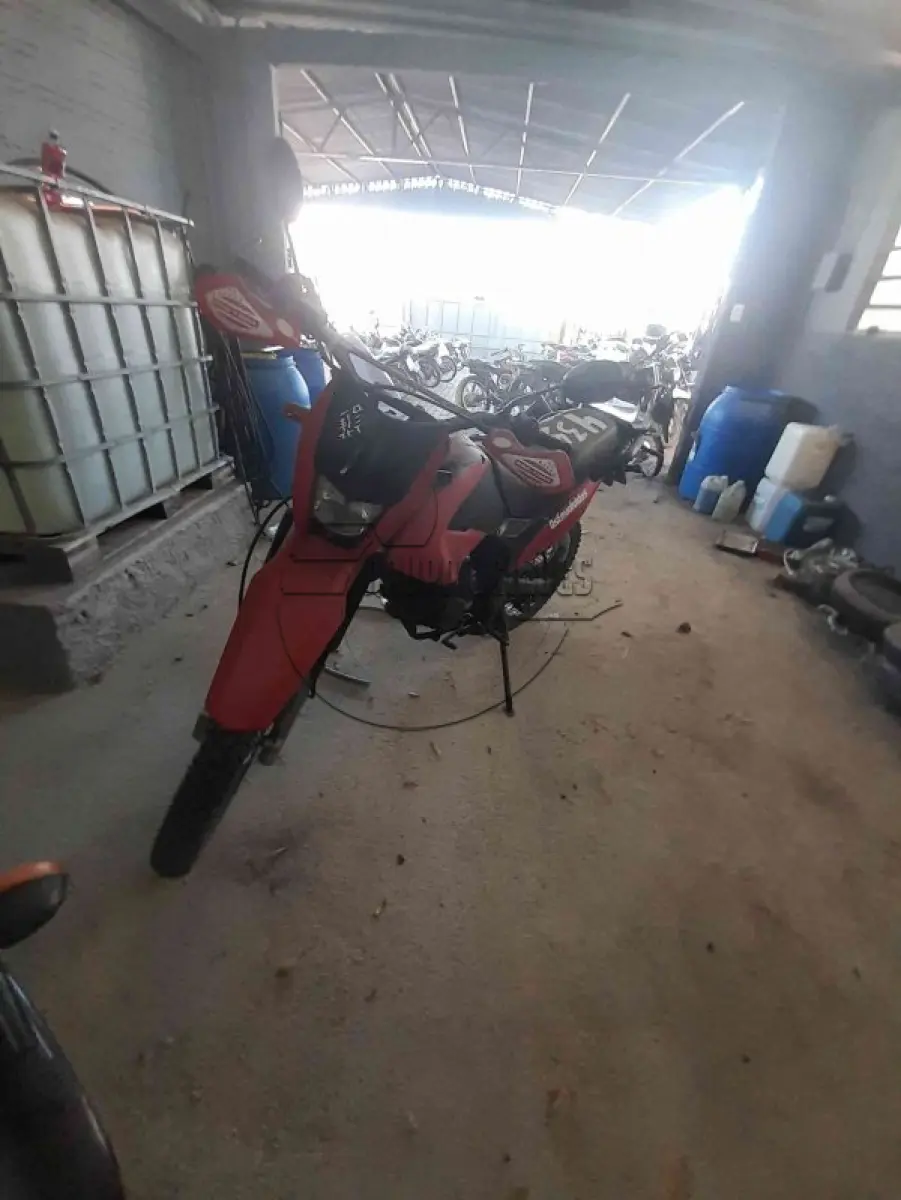 LOTE 0037