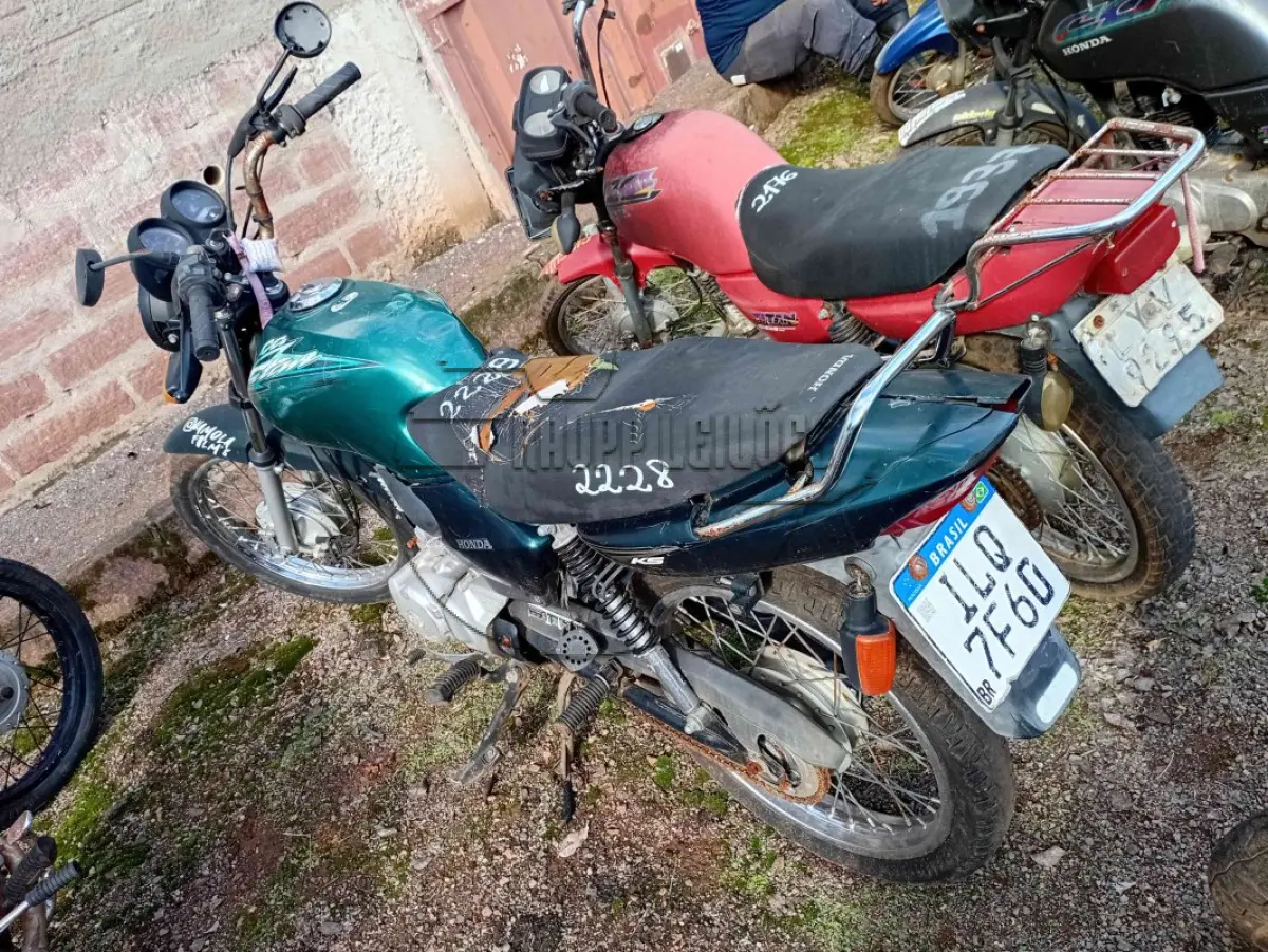 LOTE 0281