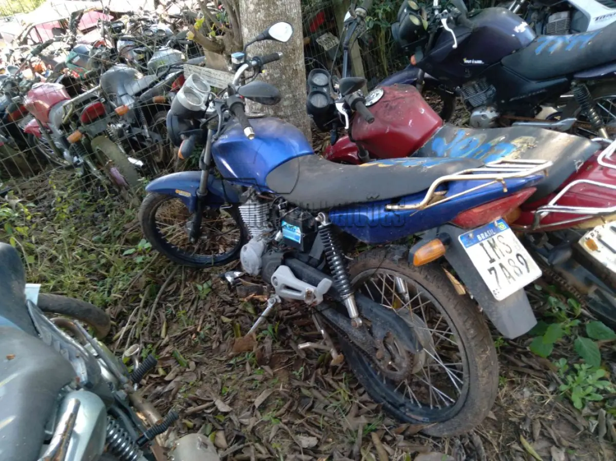 LOTE 0240