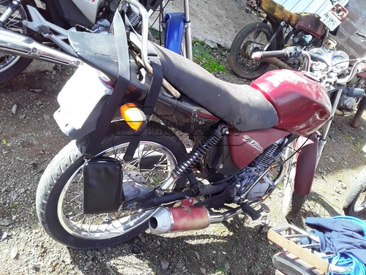 LOTE 0283