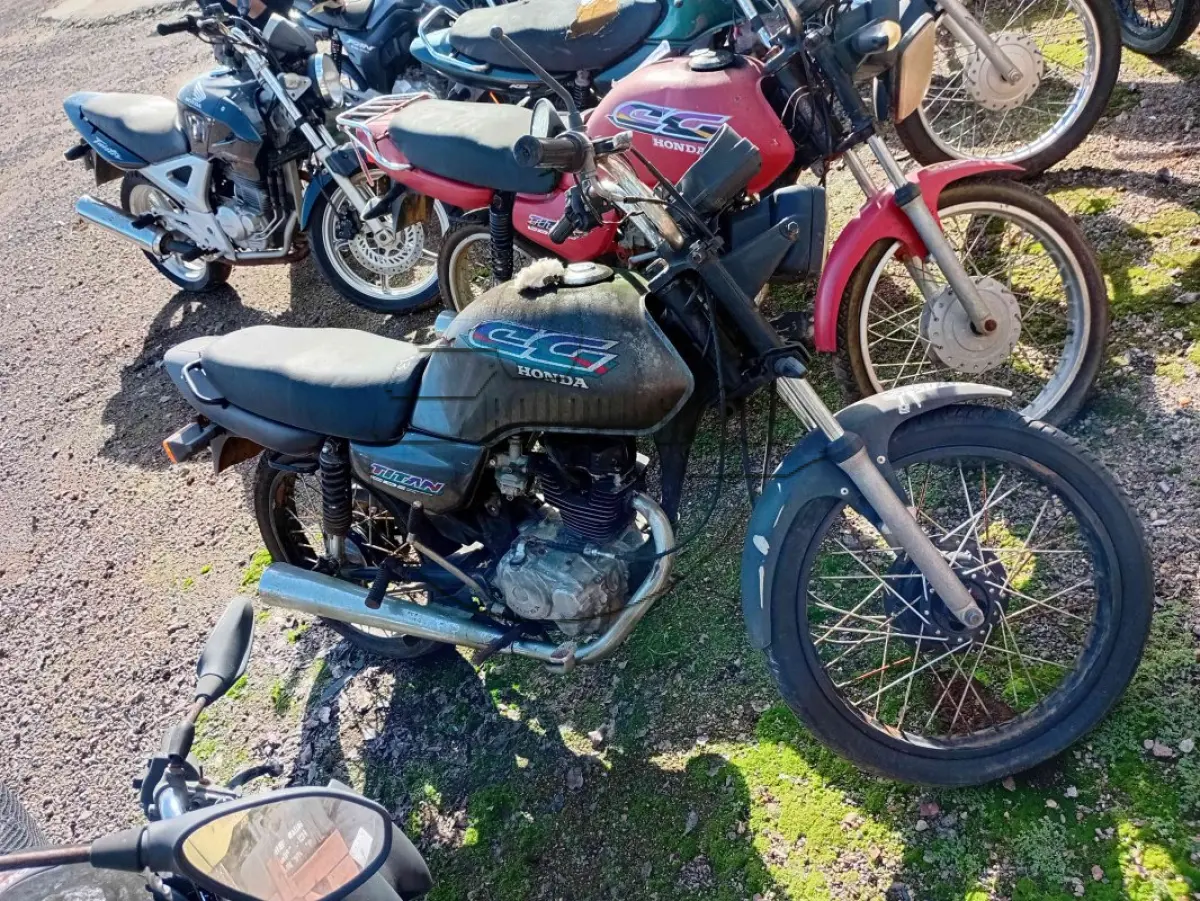 LOTE 0278