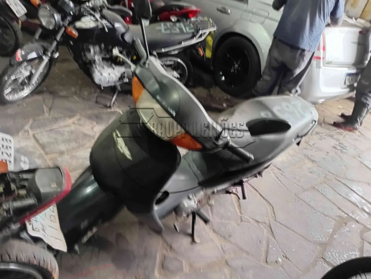 LOTE 0333
