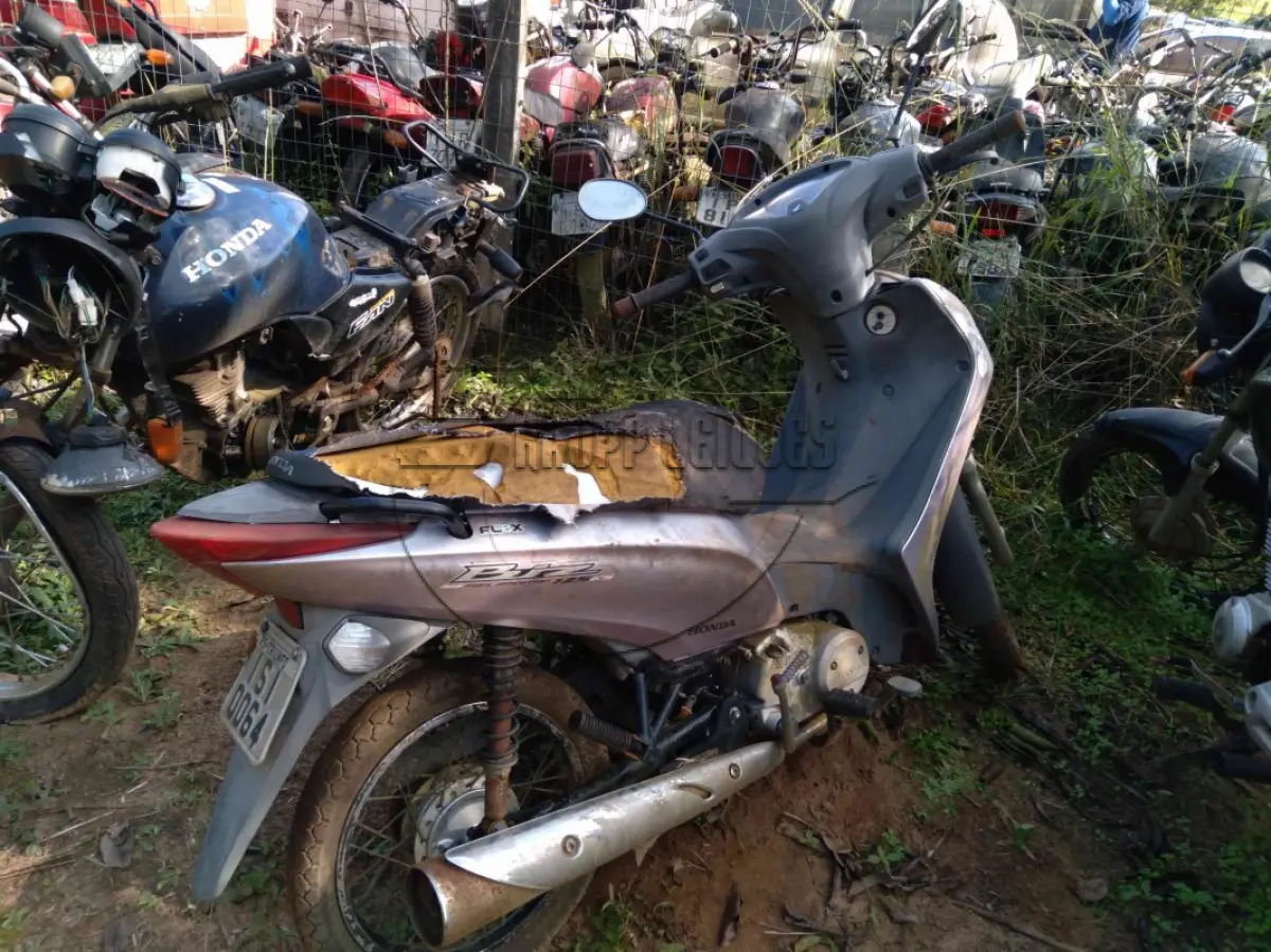LOTE 0233