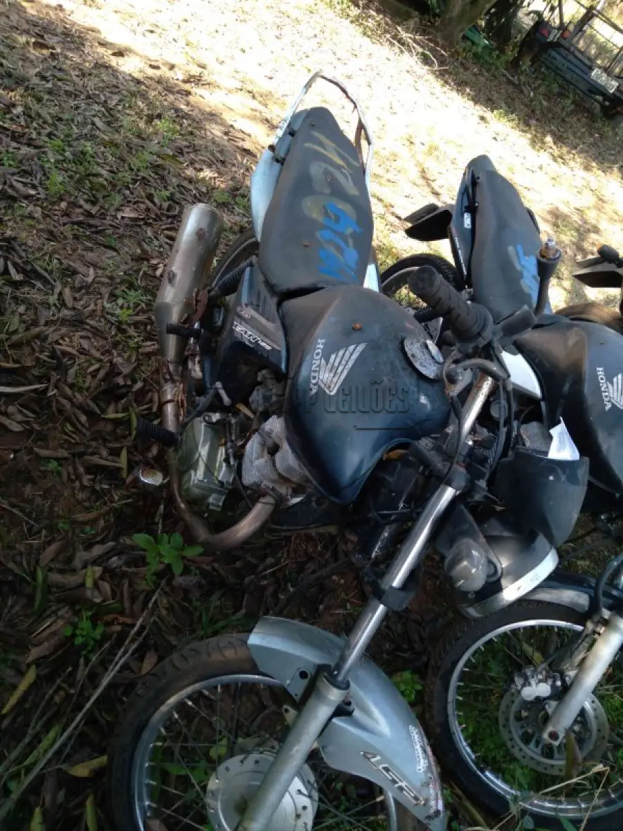 LOTE 0236