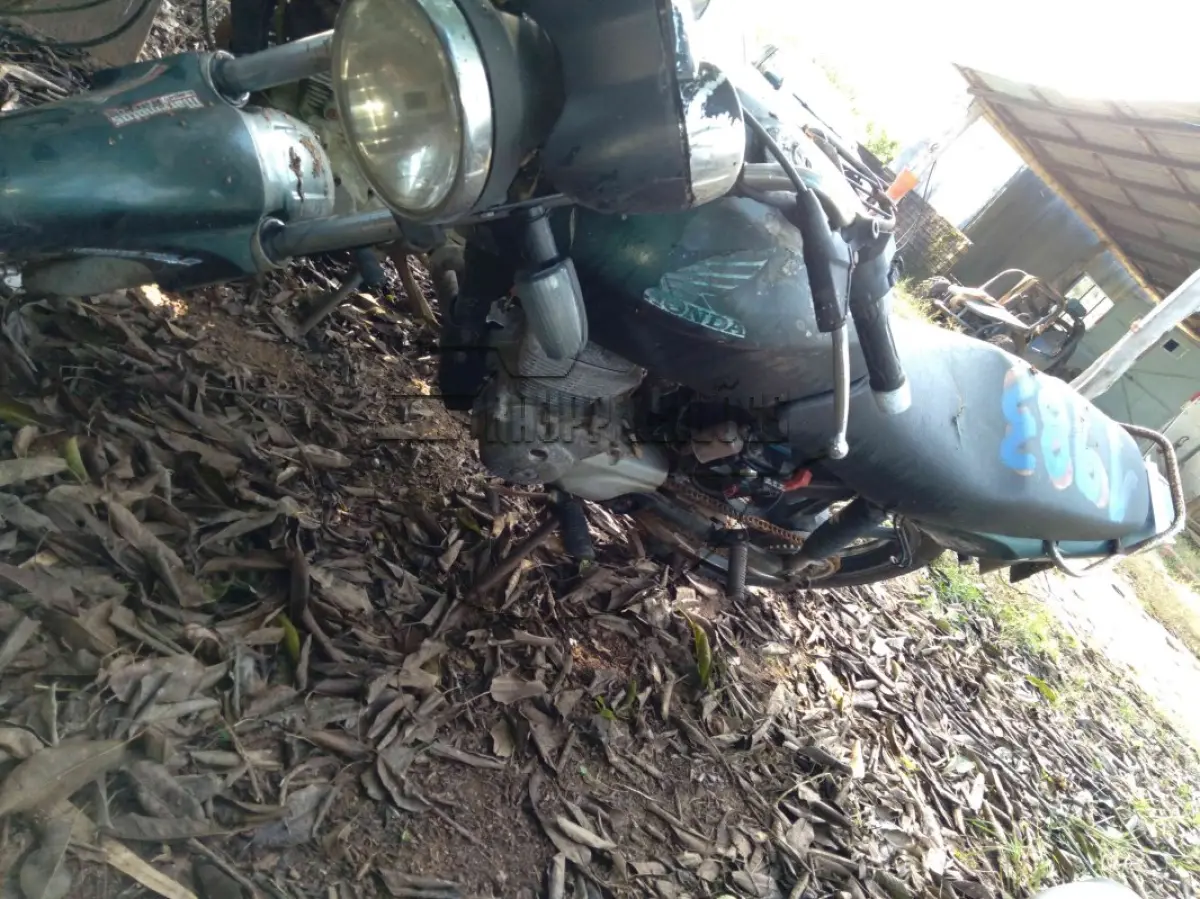 LOTE 0242