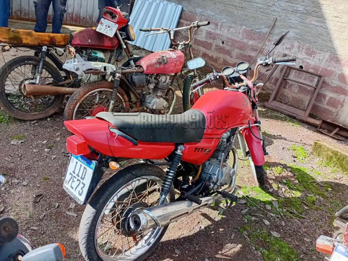 LOTE 0282