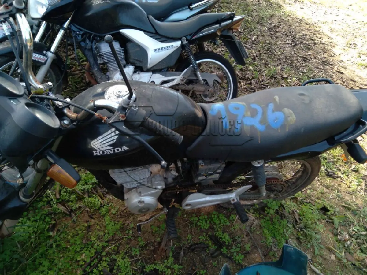 LOTE 0237