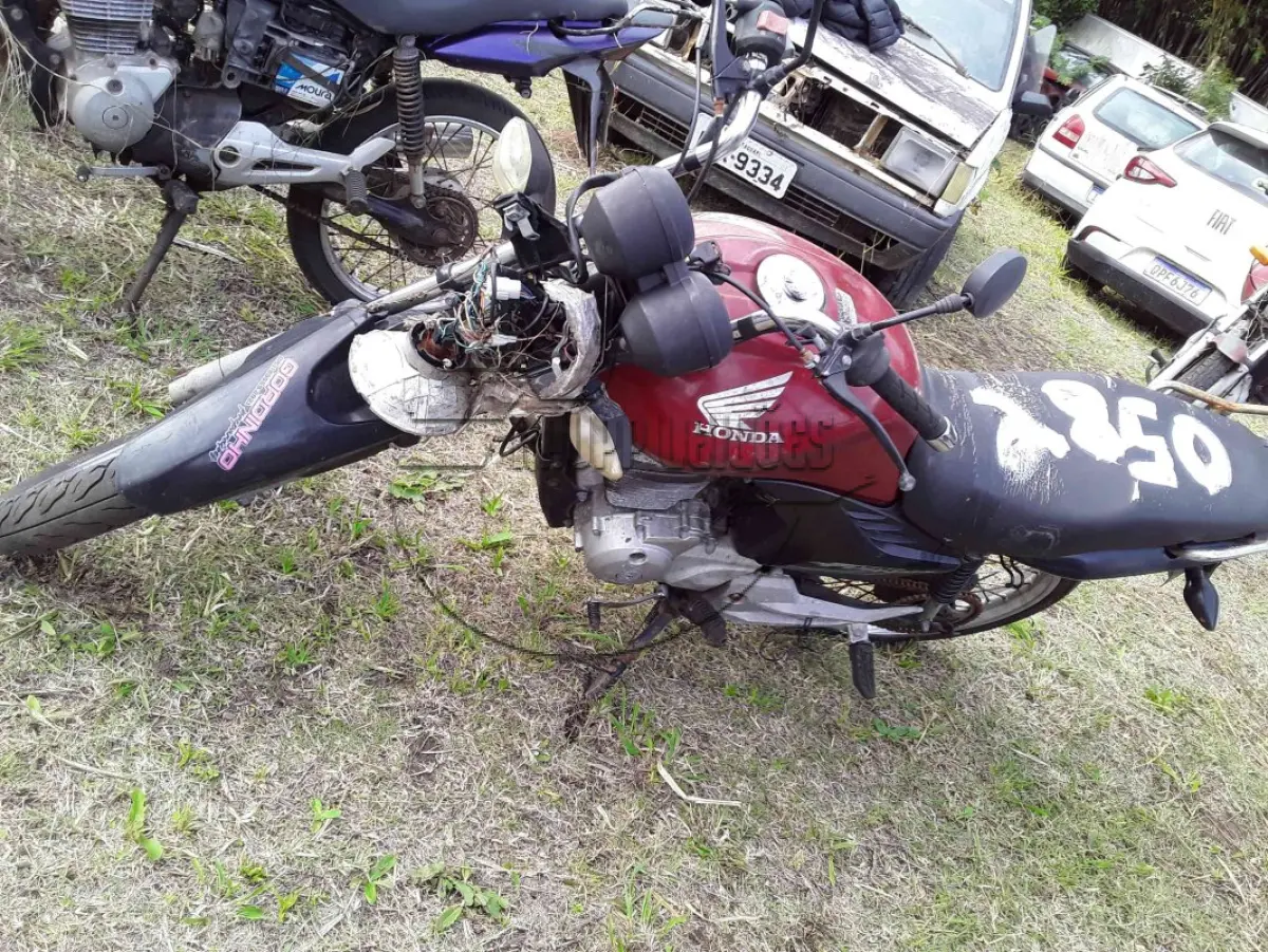 LOTE 0364