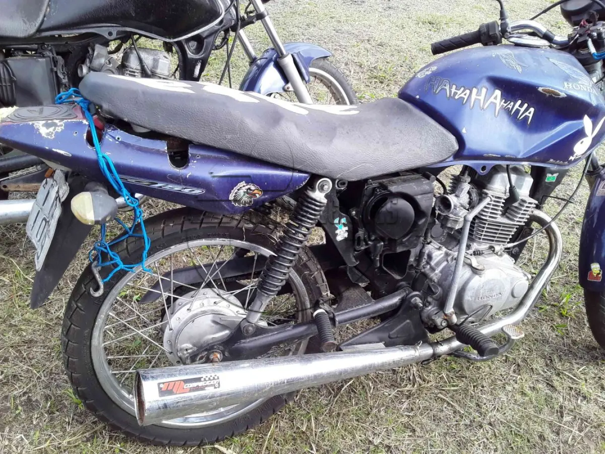 LOTE 0367
