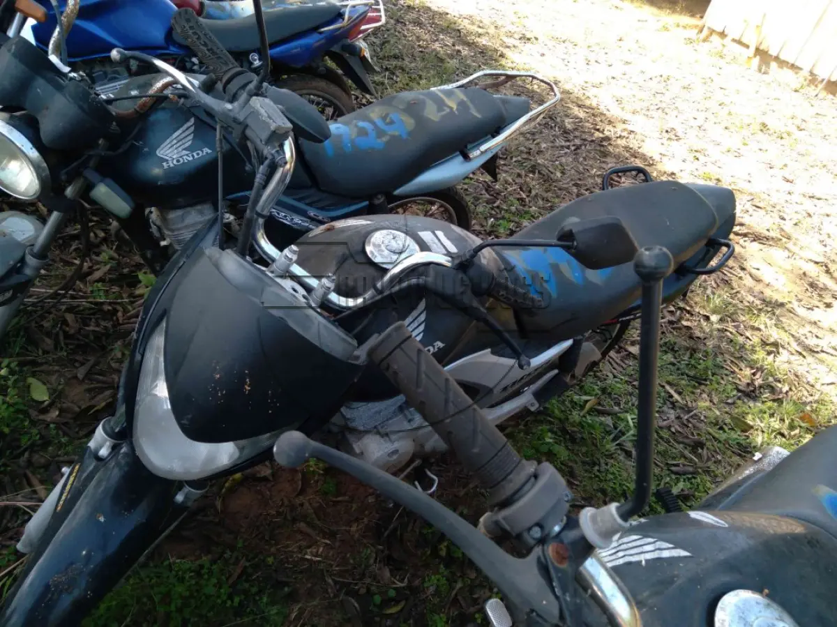 LOTE 0244