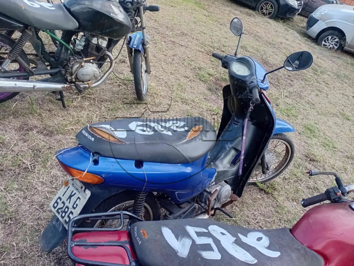 LOTE 0369