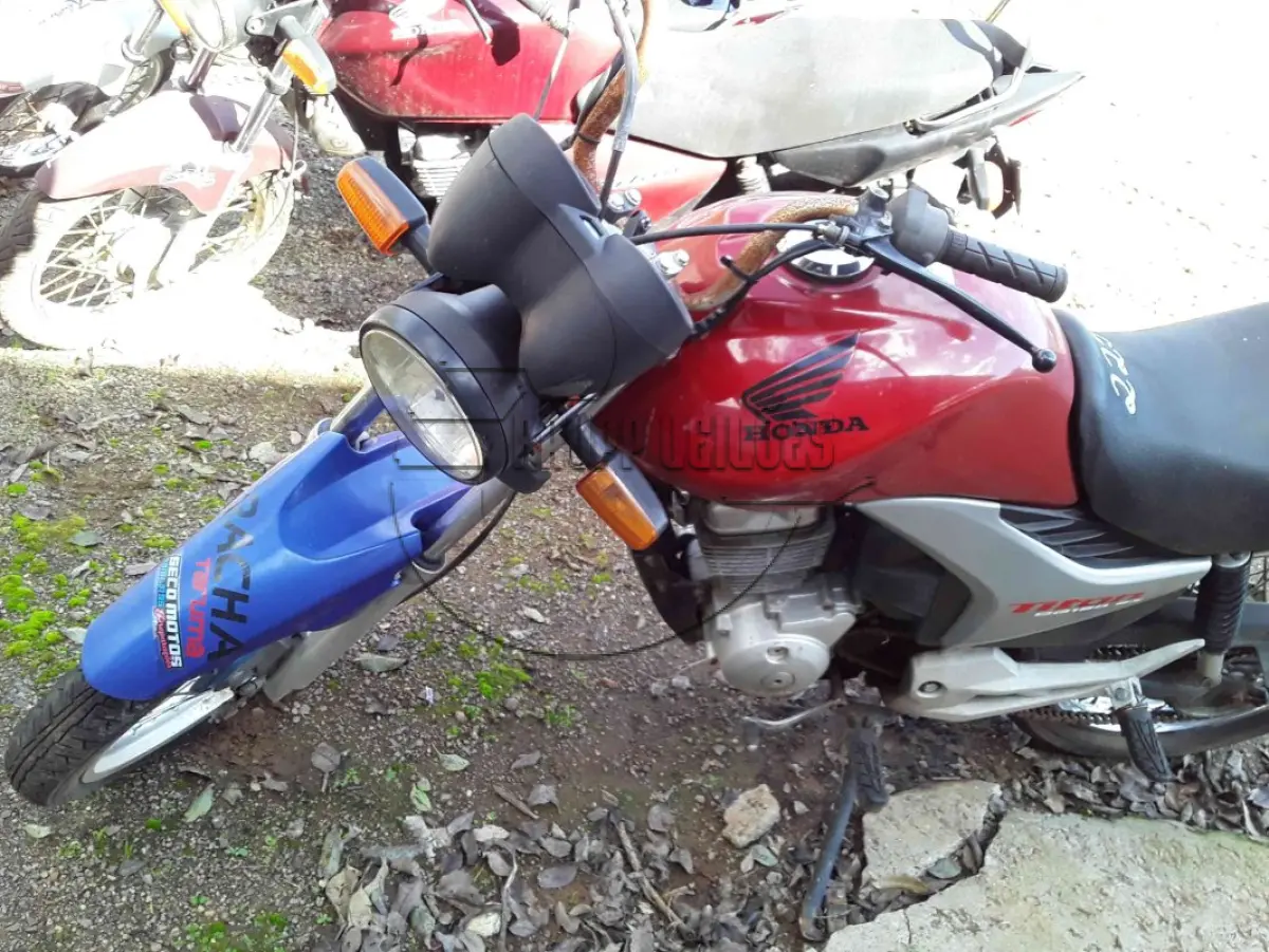 LOTE 0286
