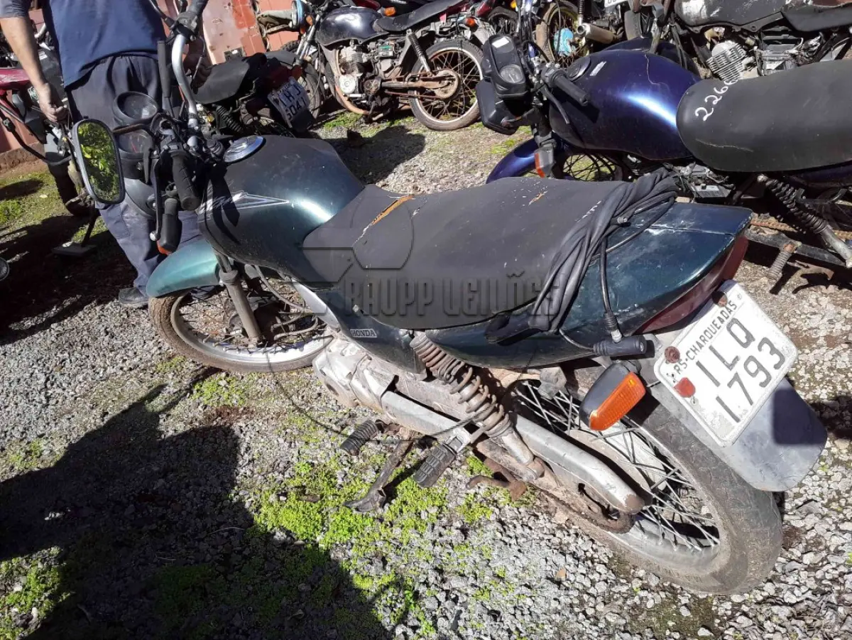 LOTE 0291