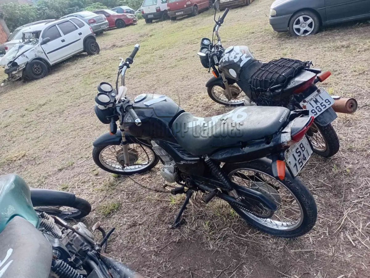LOTE 0366