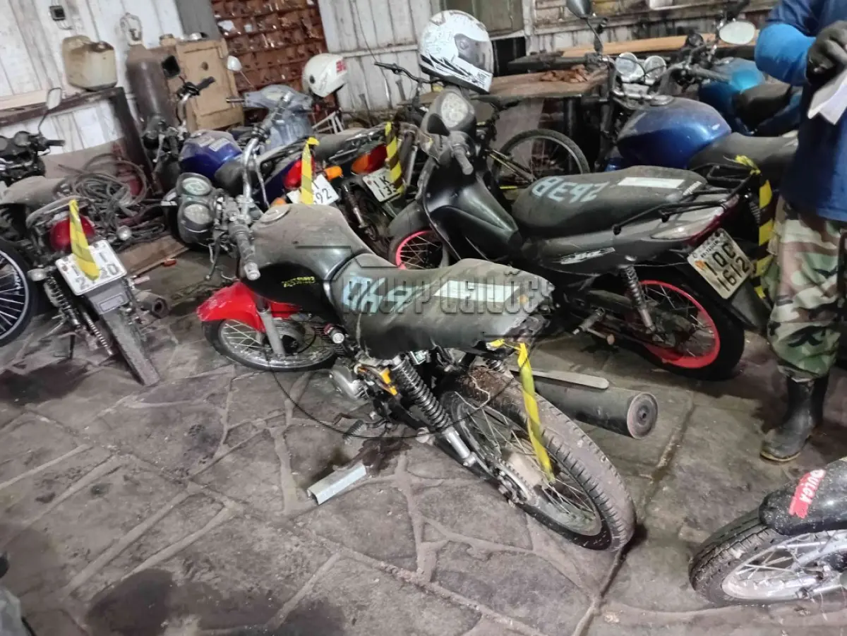 LOTE 0329