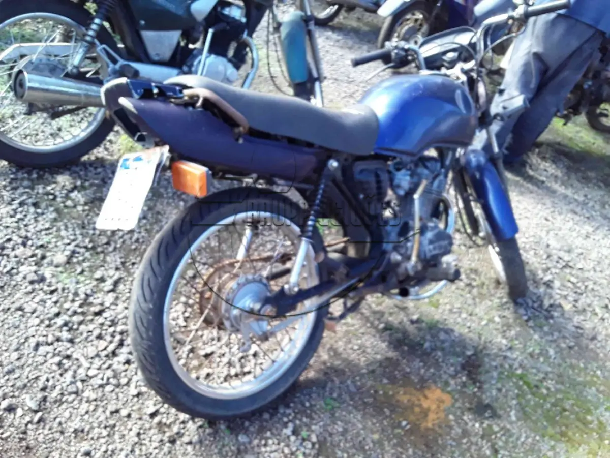 LOTE 0288