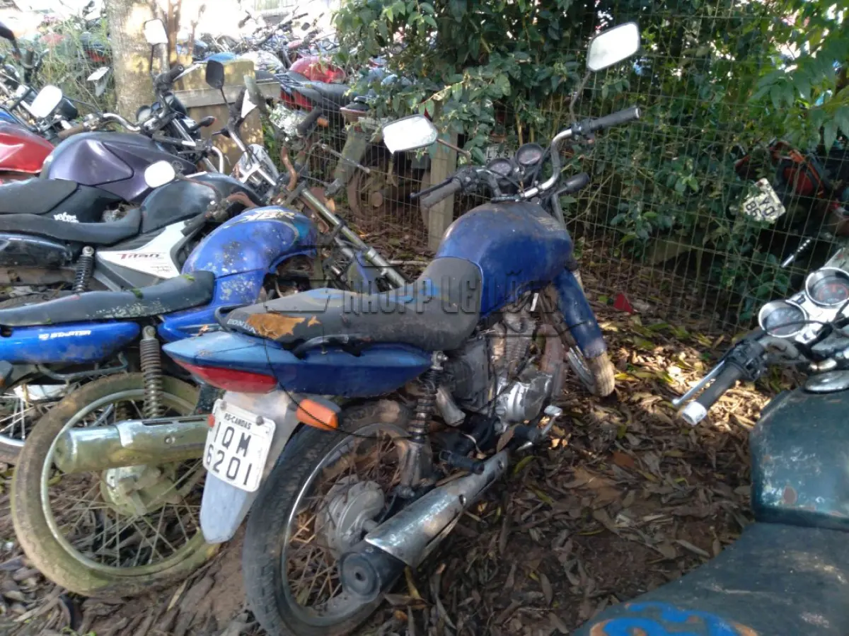 LOTE 0243