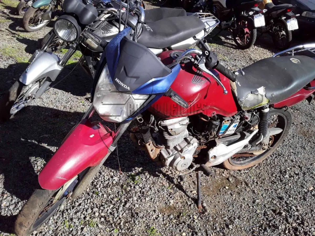 LOTE 0275