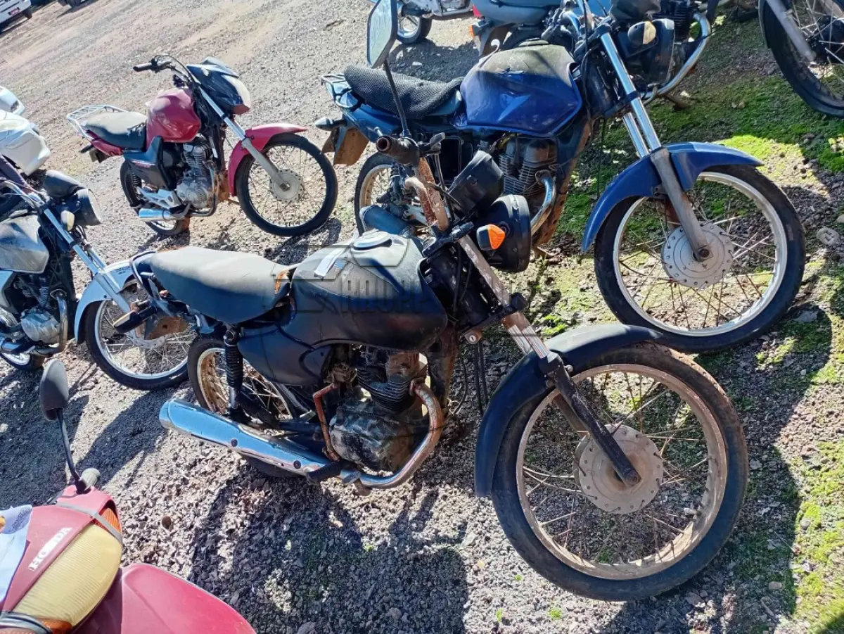 LOTE 0279