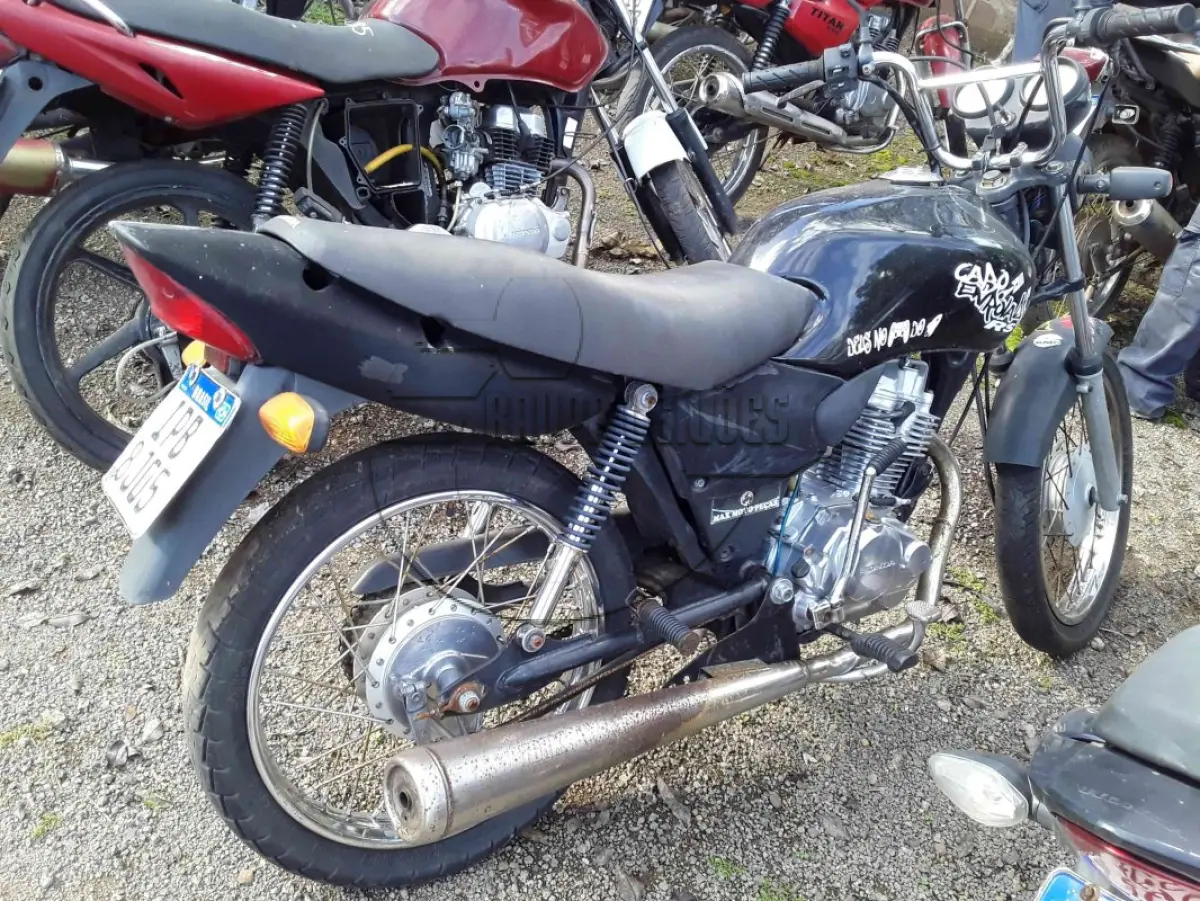 LOTE 0290