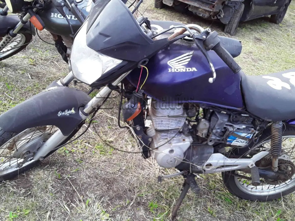 LOTE 0363