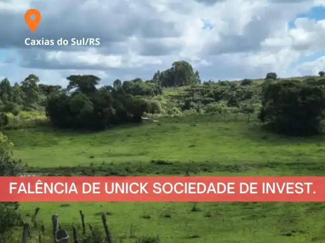 LEILÃO JUDICIAL - UMA ÁREA DE TERRAS C/ 27,62 HECTARES, EM CAXIAS DO SUL/RS