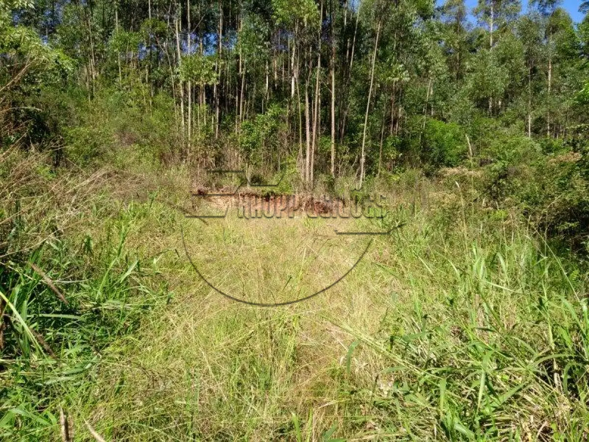 LOTE 001 - Uma área de terras em Paverama/RS