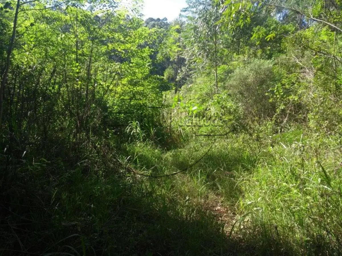 LOTE 001 - Uma área de terras em Paverama/RS