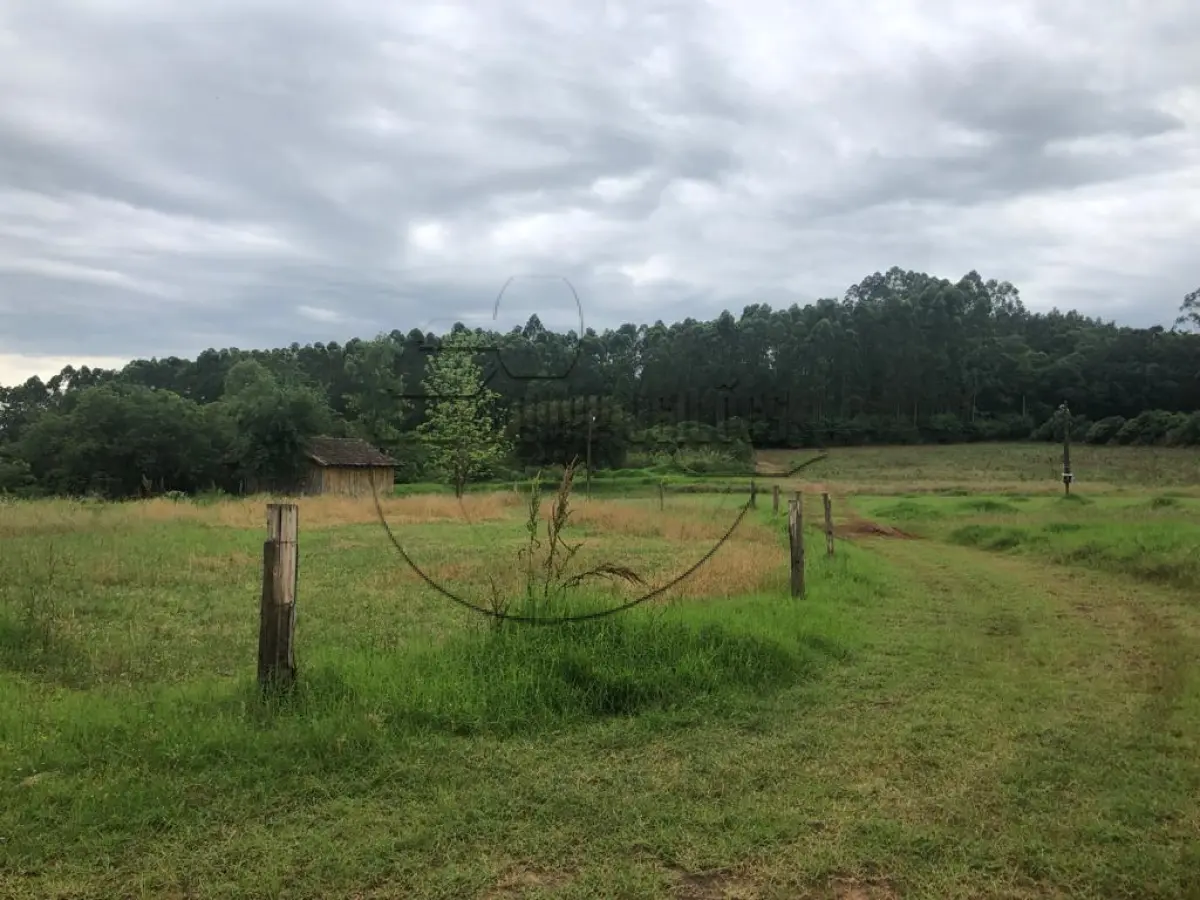 LOTE 005 - Área de terras em Estrela/RS